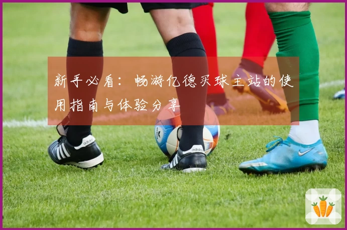 新手必看：畅游亿德买球主站的使用指南与体验分享