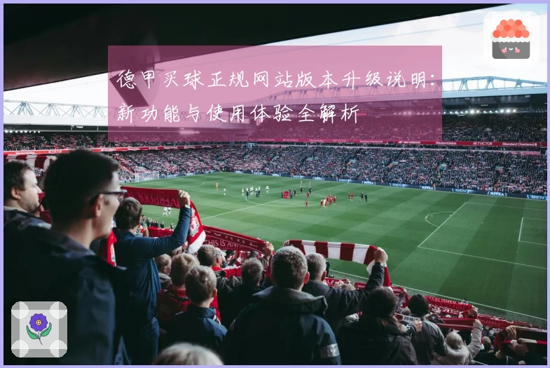 德甲买球正规网站版本升级说明：新功能与使用体验全解析