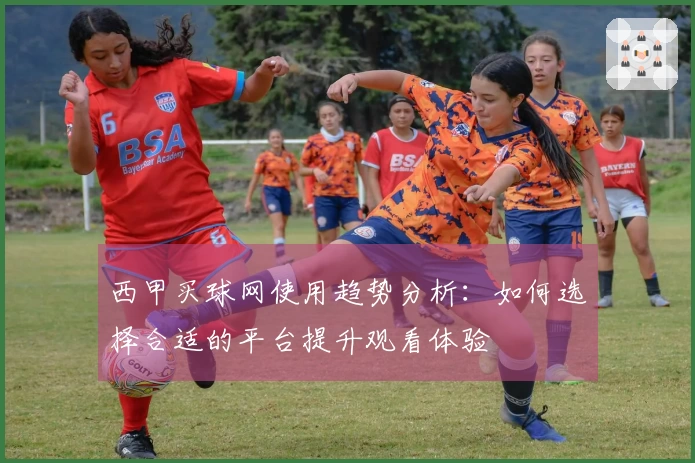 西甲买球网使用趋势分析：如何选择合适的平台提升观看体验